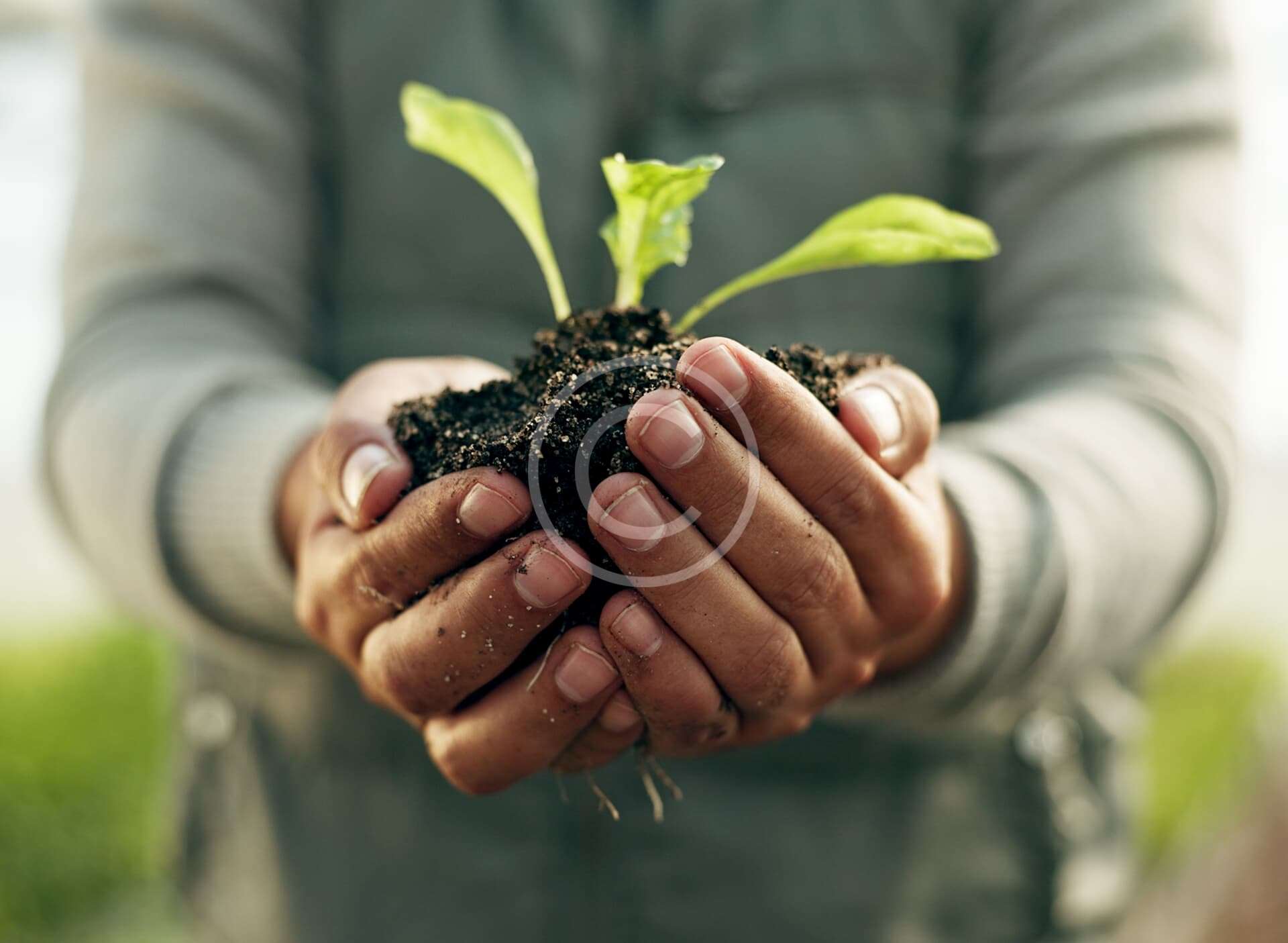 Organic Farm Challenges and How to Beat Them Easily