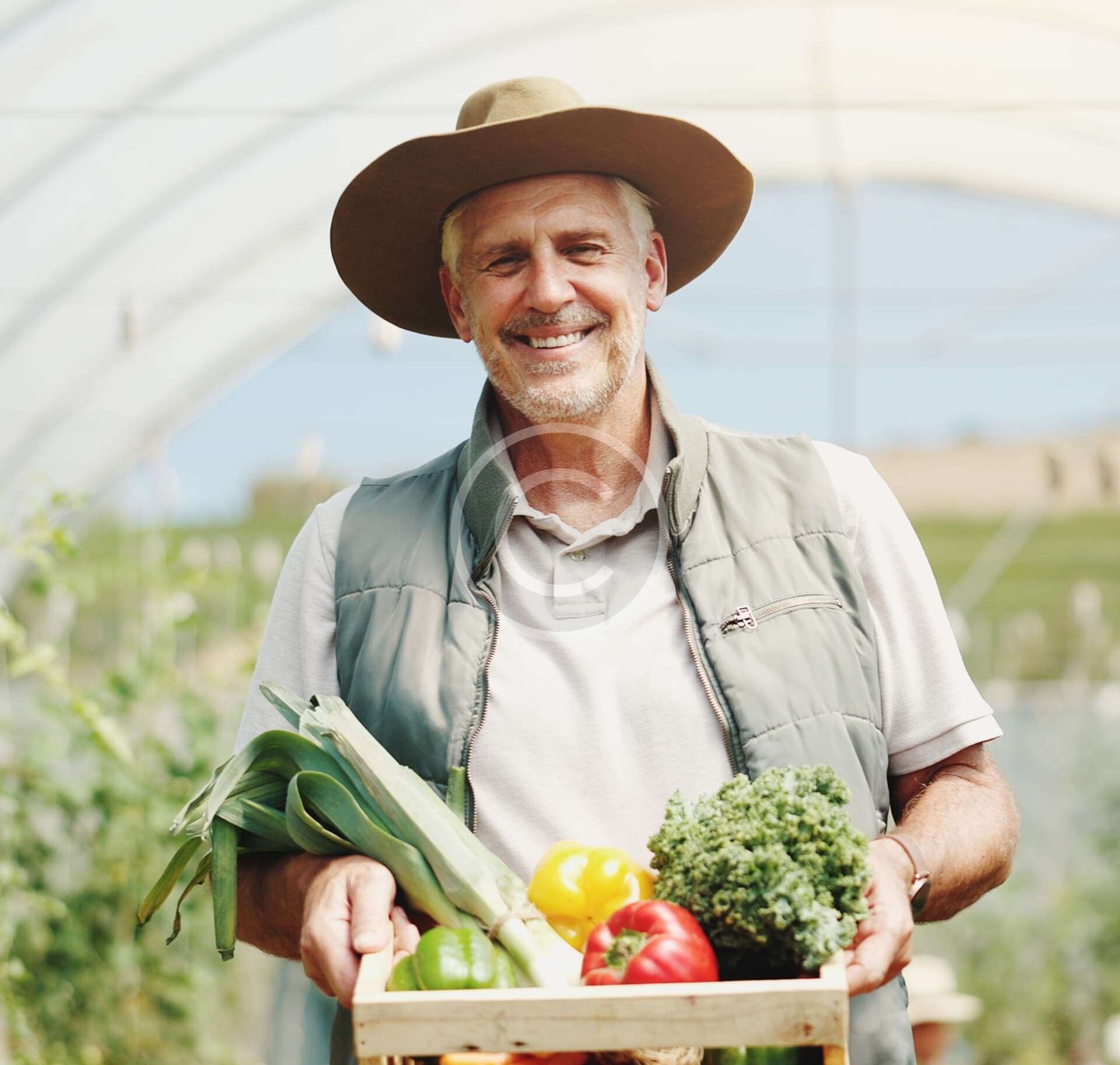 Process for Organic Farms